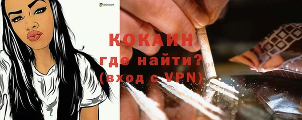 гашик Дмитровск