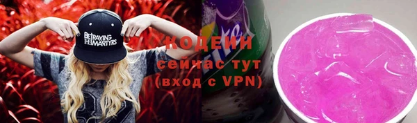 гашик Дмитровск