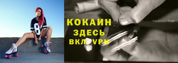 гашик Дмитровск
