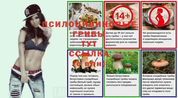 гашик Дмитровск