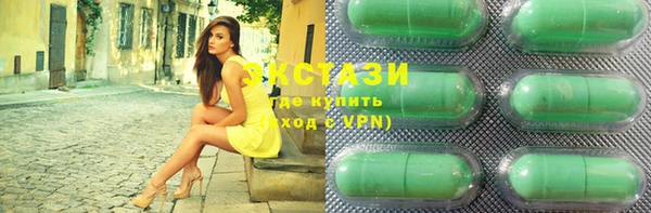 гашик Дмитровск