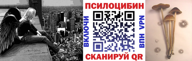 где продают наркотики  Лысково  Галлюциногенные грибы мухоморы 